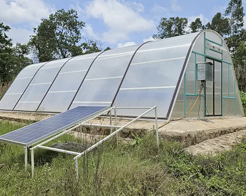 Cabinet Solar Dryers